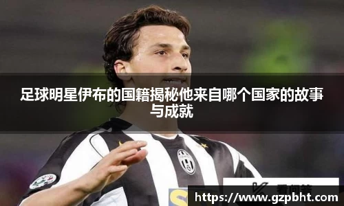 足球明星伊布的国籍揭秘他来自哪个国家的故事与成就